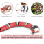 USB Rechargeable Interactive Cat Toy with Smart Sensing, an Automatic Electronic Snake for Kittens' Indoor Play. - Korvel