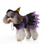 Personalized Christmas & Halloween Pet Costumes