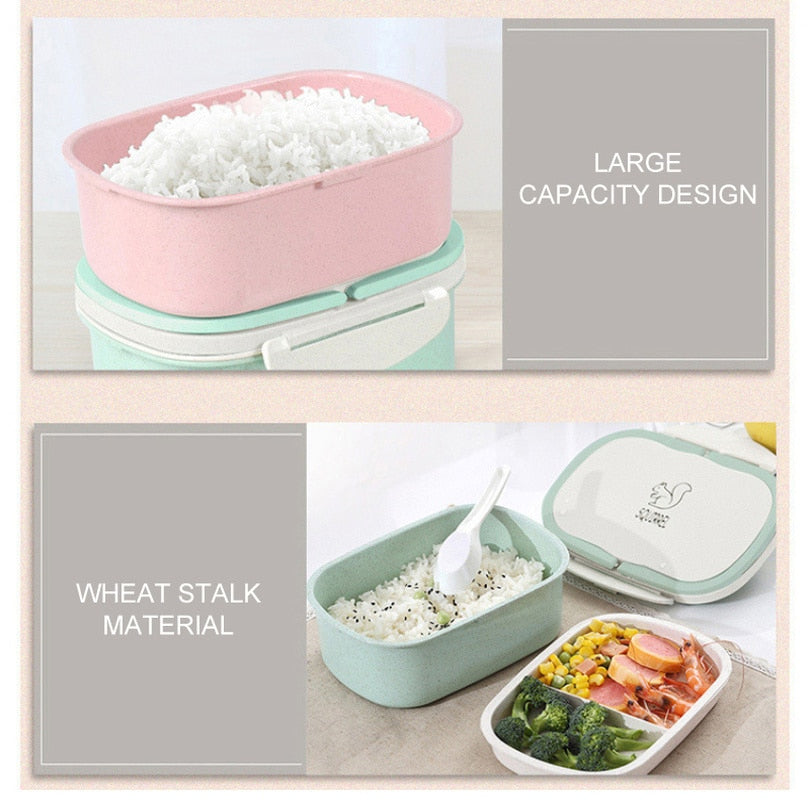 Premium Wheat Straw Bento Lunch Box - 2 Layer Design