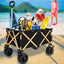 Chariot de Plage Pliable Haute Résistance avec Grandes Roues