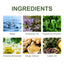 Rosemary Mint Pro Hair Care Shampoo, Scalp Massage Cleaning Care Repair Bifurcation Strong, Supple And Dense Hair - Korvel