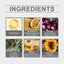 Onion Hair Care Essential Oil Repairs Dry Hair And Irritated Hair, Moisturizes, Moisturizes, And Softens Hair Essential Oil - Korvel