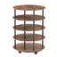 4-Tier Revolving Shoe Rack Storage Organizer