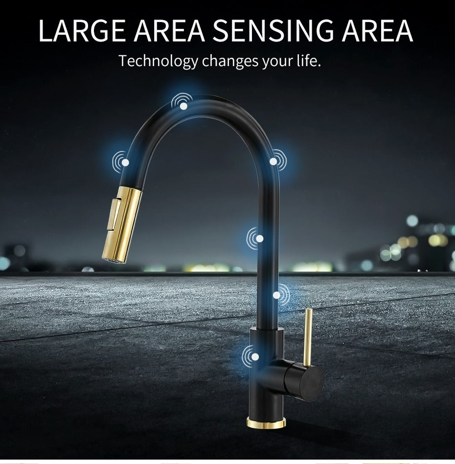 Premium 304 Stainless Steel Kitchen Faucet with Pull-Out Spray
