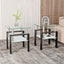 Set of 2, Modern Tempered Glass Tea Table Coffee Table End Table, Square Table for Living Room, Transparent/Black - Korvel