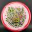 Halo R-Pro Pig - Zombie Pig Disc Golf Disc