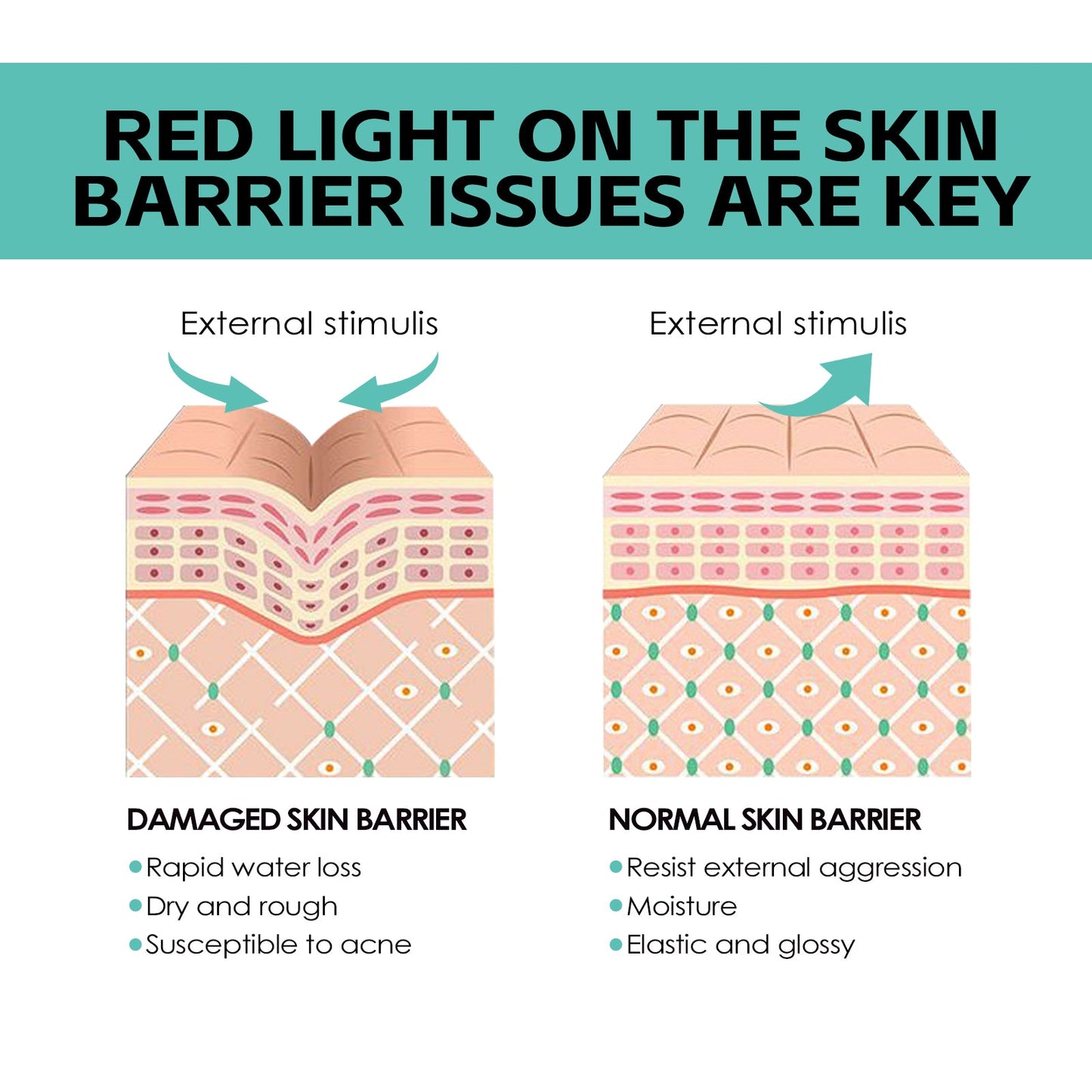 Moisturizing Cream, Brightening Whitening Moisturizing Skin Care Cream - Korvel