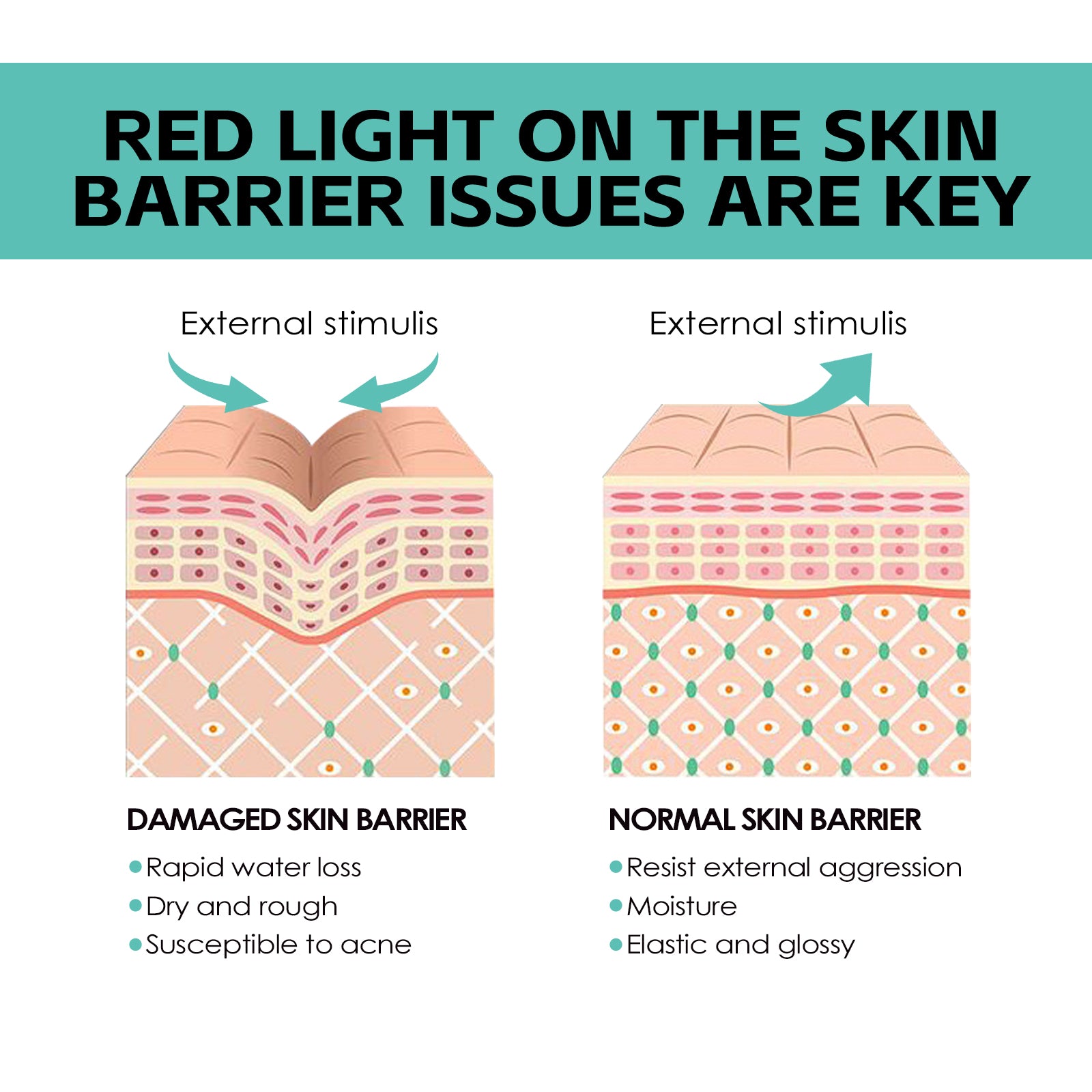Moisturizing Cream, Brightening Whitening Moisturizing Skin Care Cream - Korvel