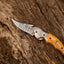 Exquisite Handmade Damascus Steel EDC Folding Knife | 3-Inch Blade, Bone Handle, Leather Sheath | Perfect Gift by KBS Knives - Korvel