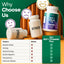 Capsules Probiotiques Premium avec Soutien Prébiotique
