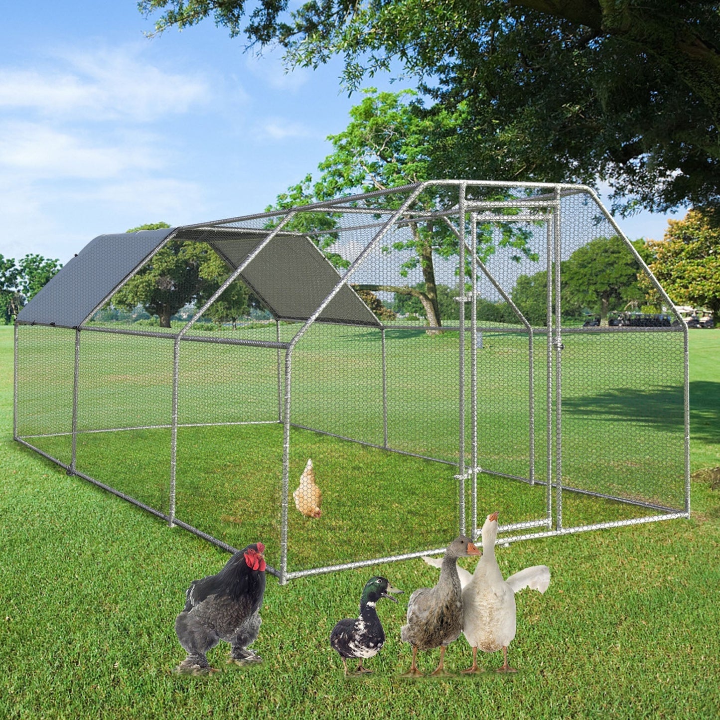 Gallinero grande de 9.5 x 19 pies con acceso