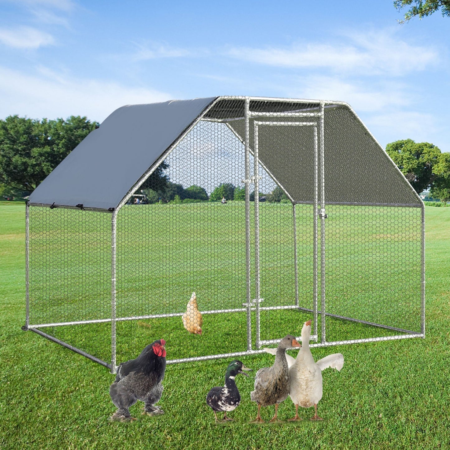 Large Walk In Chicken Run Cage - 9.5 x 6.5 Feet