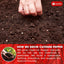 Premium Cayenne Pepper Powder - Pure Ground Red Pepper