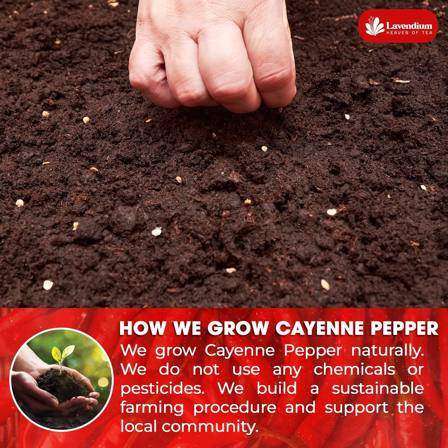 Premium Cayenne Pepper Powder - Pure Ground Red Pepper