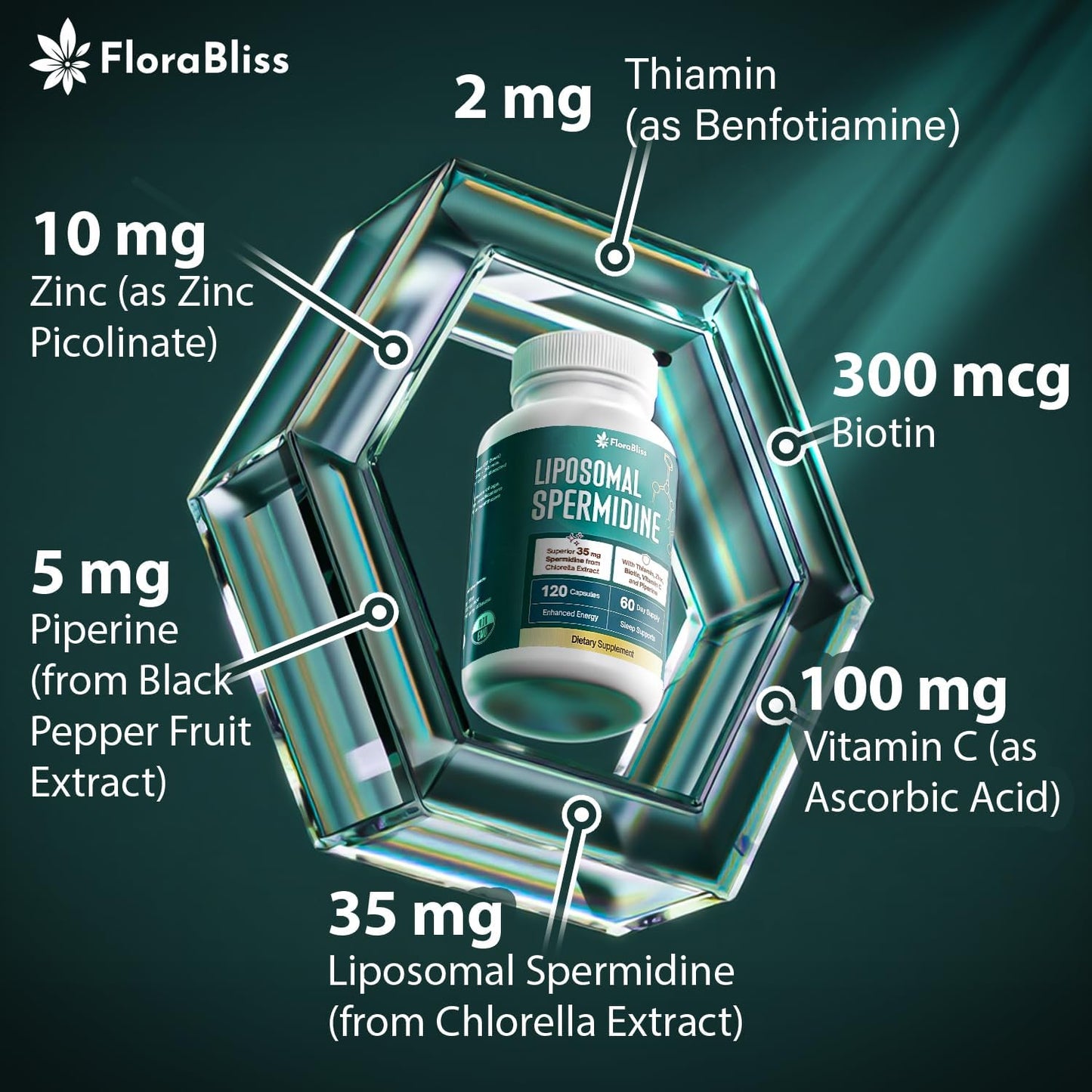 Premium Spermidine Supplement with Chlorella & Essential Nutrients | 120 Capsules