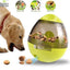 Interactive Cat Toy IQ Treat Ball
