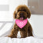 GBruno Bandana Ajustable para Mascotas