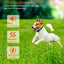 Collar de Entrenamiento para Perros Impermeable GBruno