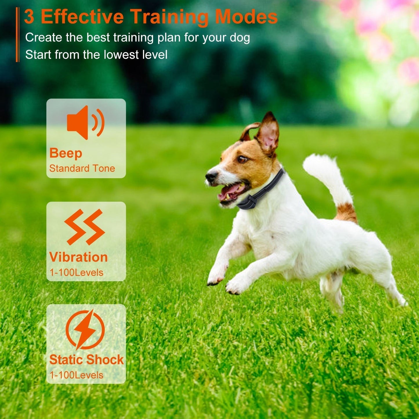 Collar de Entrenamiento para Perros Impermeable GBruno
