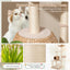 Árbol para gatos de 5 capas con postes de rascado de sisal - Beige
