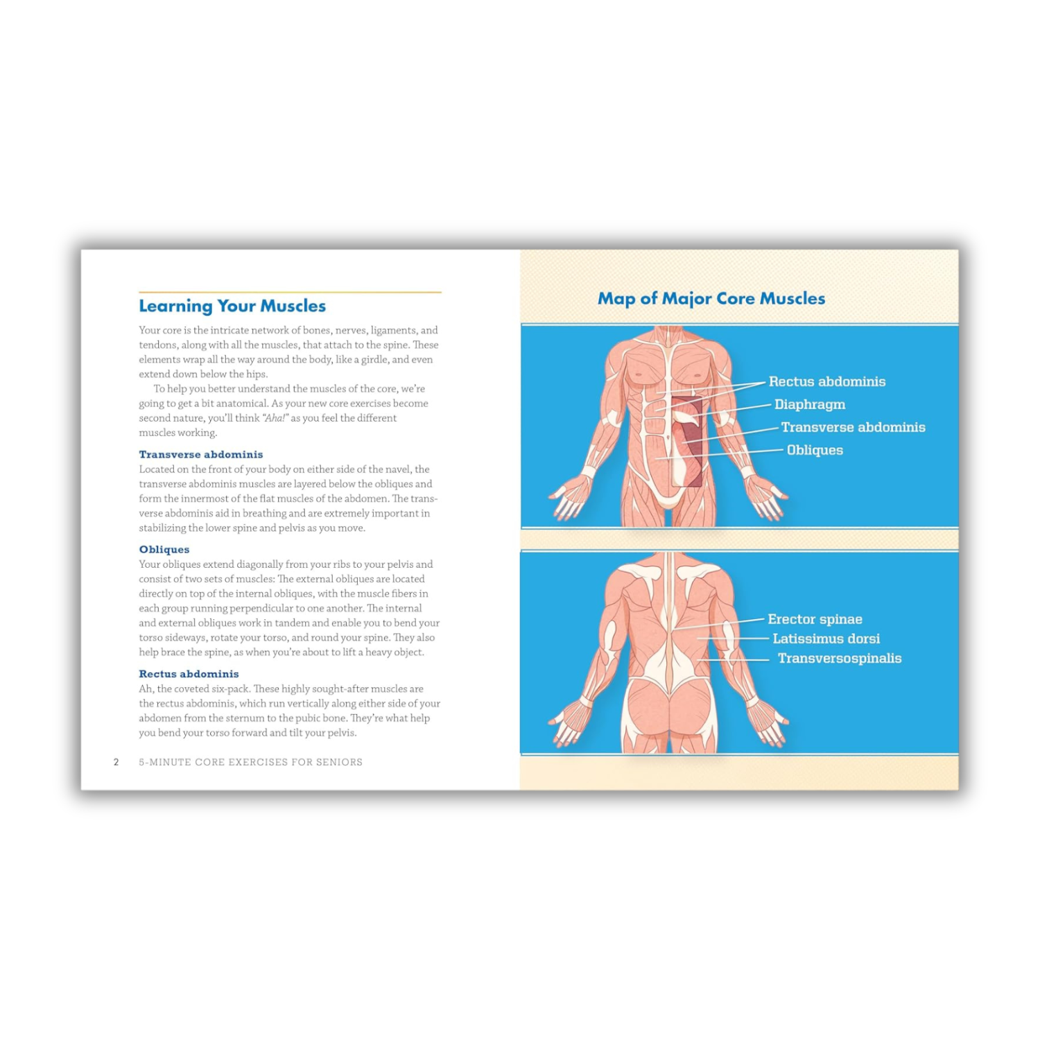 Empowering Core Workouts for Seniors: Quick Routines to Enhance Balance and Confidence (Spiral Bound) - Korvel