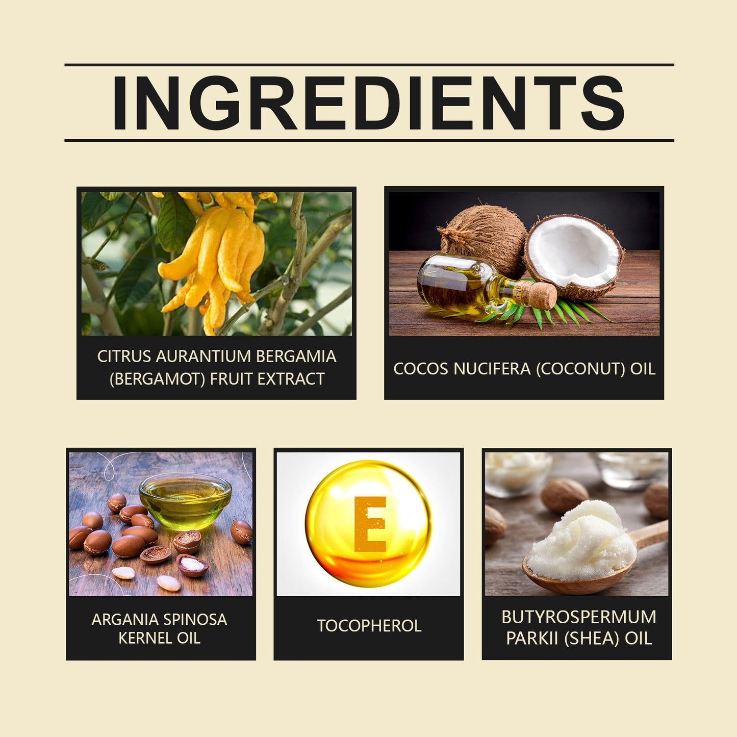 Hydratant à la Bergamote : Crème Nourrissante pour le Visage