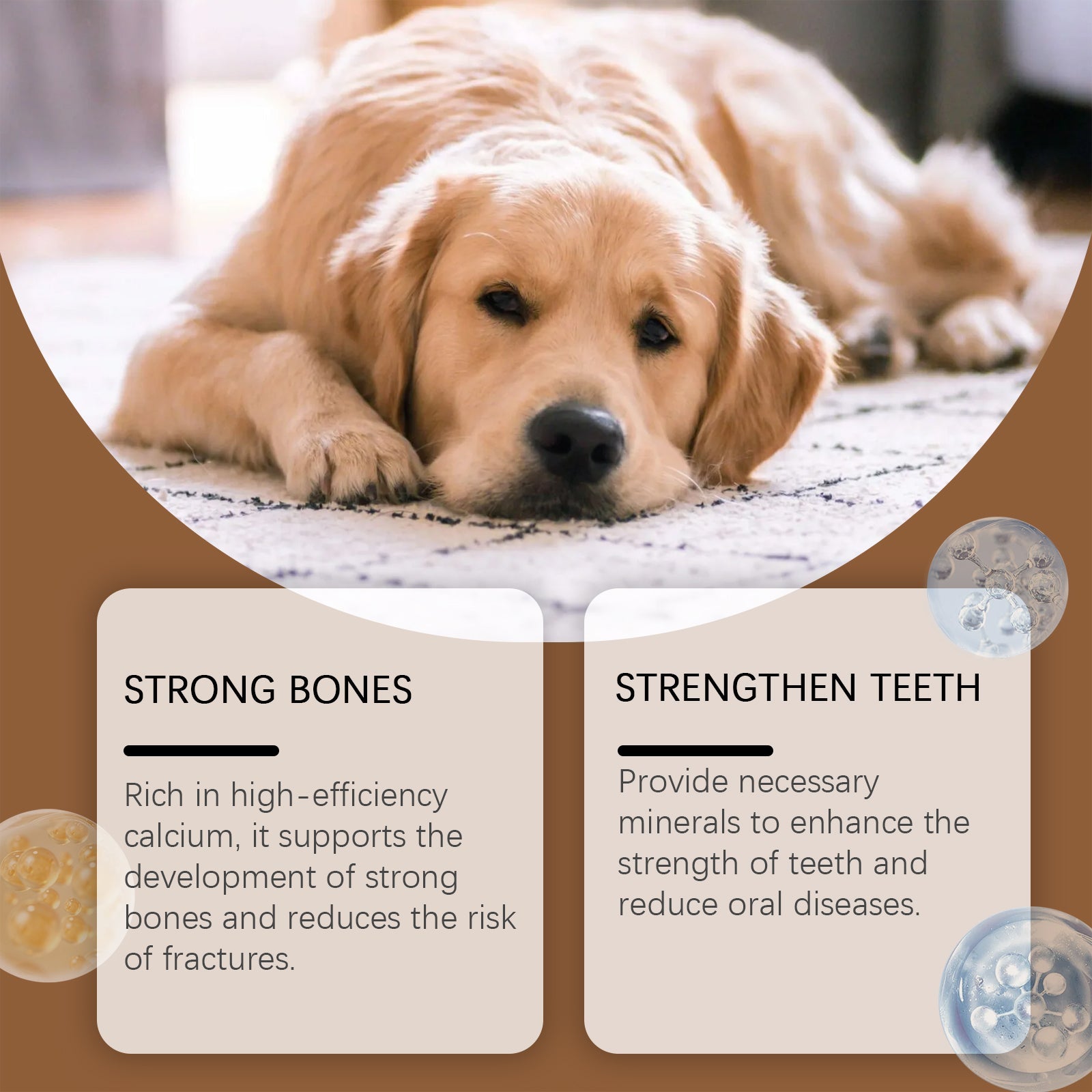 Milk Calcium Tablets For Dogs Vitamin Supplements For Pets Oral Care Diet Healthy Nutrition Calcium Tablets - Korvel