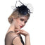 WELROG Feather Cap Lady Cocktail Dinner Party Fedoras Wedding Bridal Mesh Veil Hats Vintage Sombreros Chapeau Fascinators Hat - Korvel