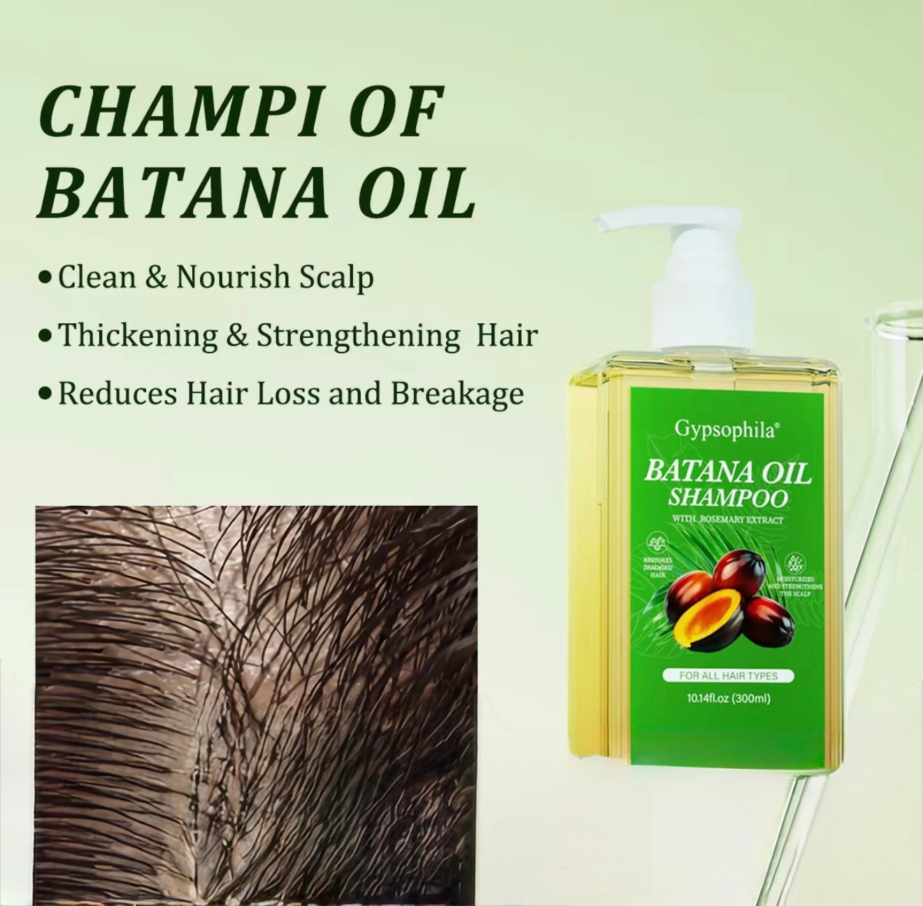 BataGrow Hair Shampoo - Korvel