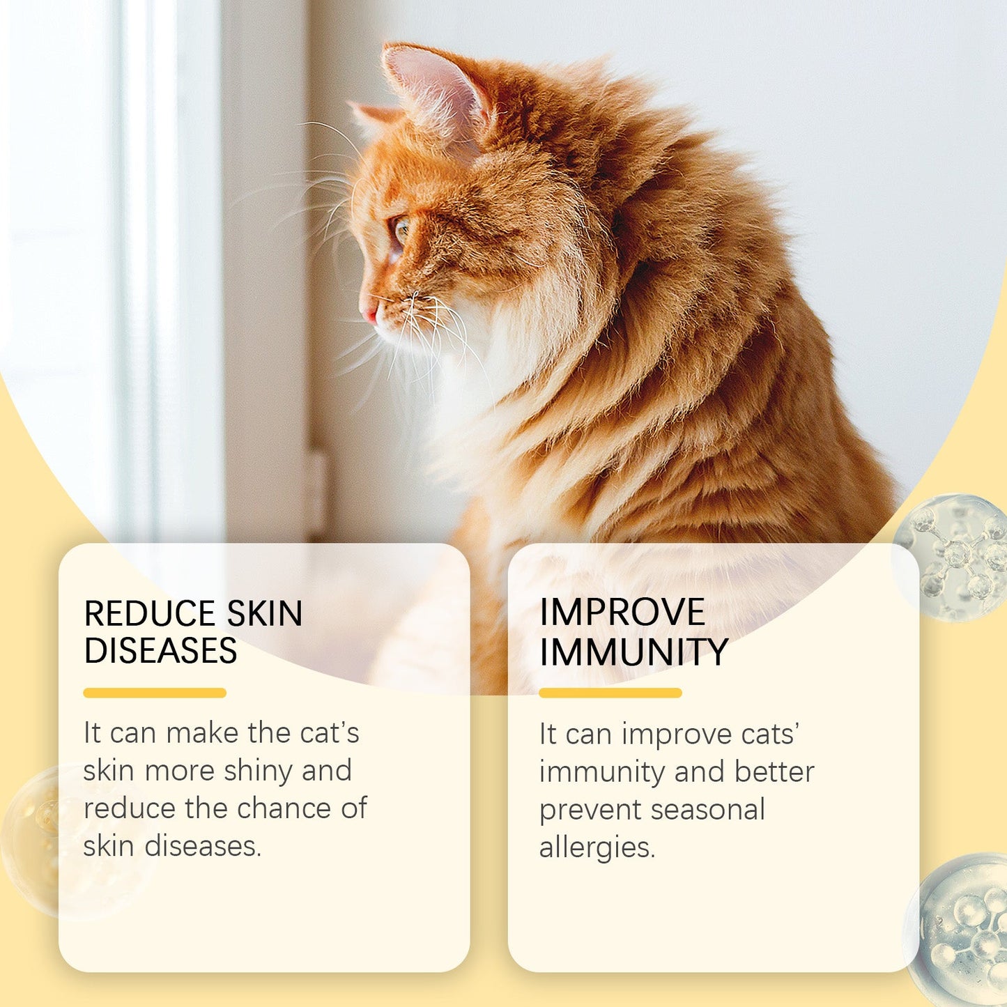 Cat Care With Multi-Dimensional Fish Oil Tablets Cat Care Vitamin Moisturizing Skin Fish Oil Care Tablets - Korvel