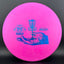 Nexus Polecat - 2023 Masters World Championships Edition