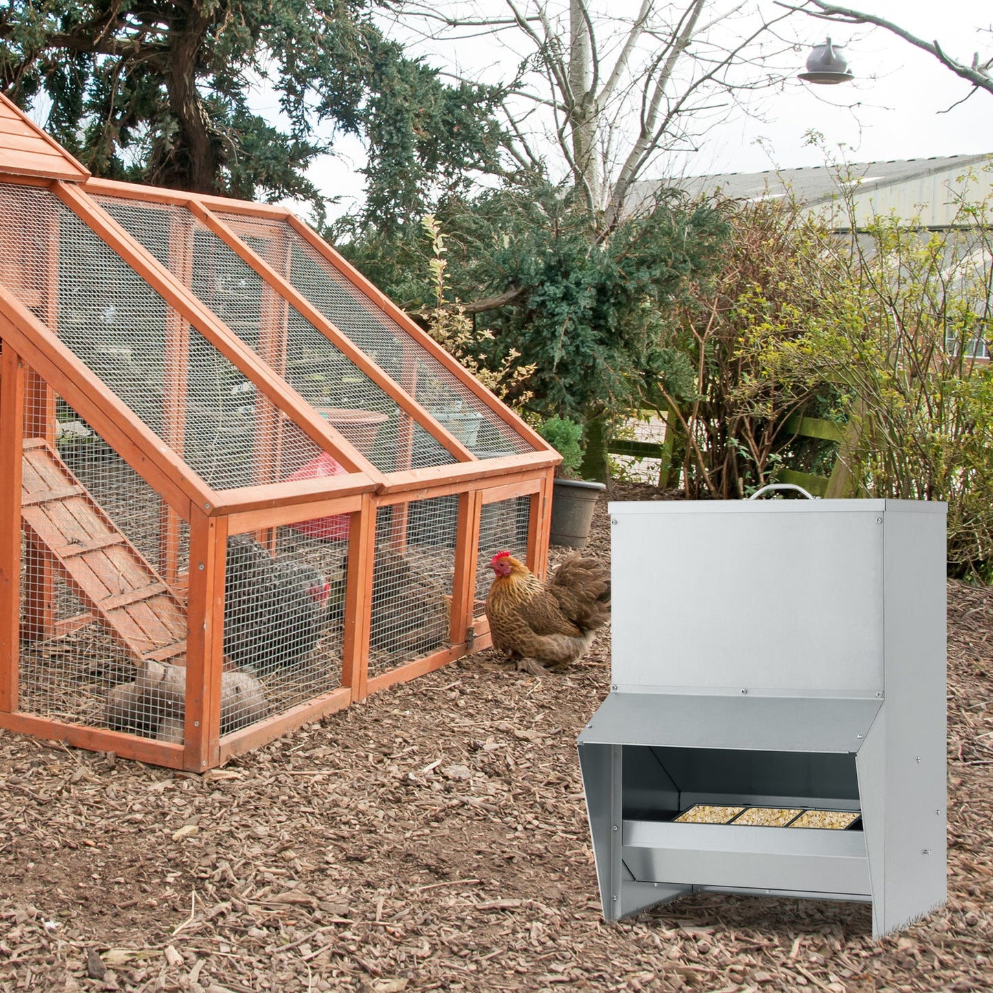 Wall Mount Galvanized Chicken Feeder - 50 lbs Capacity