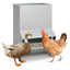 Wall Mount Galvanized Chicken Feeder - 50 lbs Capacity