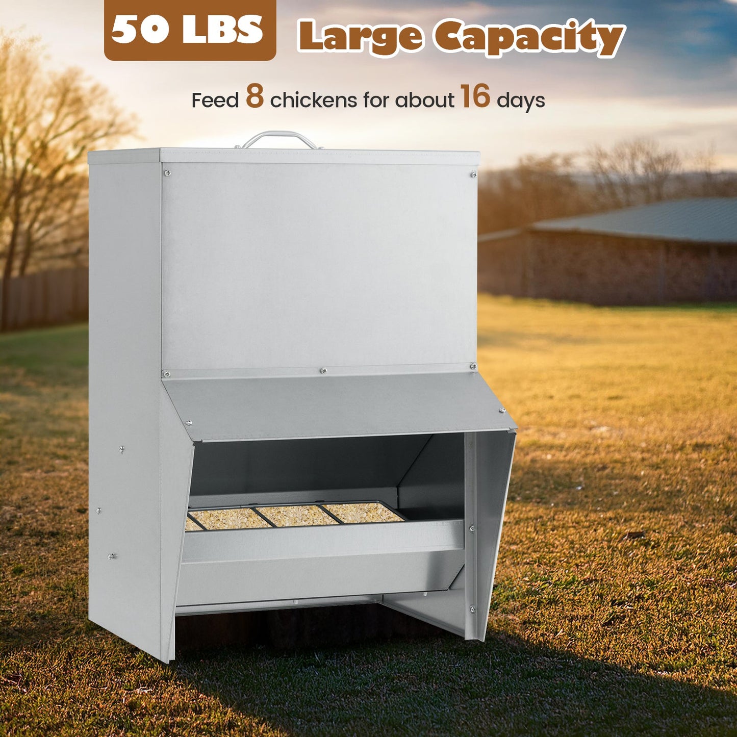 Wall Mount Galvanized Chicken Feeder - 50 lbs Capacity