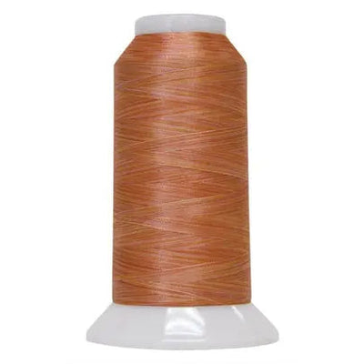 Fil de polyester variegé Creamsicle Fantastico