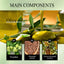 Hair Care Essential Oil, Repair Frizzy Split Ends Damaged Moisture Hair Soft And Strong Hair Care Essential Oil - Korvel