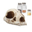 Cat Bone Base Seasoning Bottle Set Household Combination Glass Seasoning Jar Kitchen Storage Bottle - Korvel