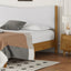 Queen Size Rubber Wooden , Solid Wooden Bed with Teddy Velvet Cushion Upholstered Headboard, Enhanced by Support Feet - Korvel