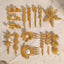Stainless steel shell hair clip with bangs, high-end feel, ins metal hair accessories, broken hair clip at the back of the head - Korvel