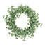 27" OXALIS CORNICULATA WREATH - Korvel