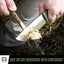 Bushwhacker D2 Steel Bushcraft Survival Knife Gift Set - Ultimate Outdoor Companion - Korvel