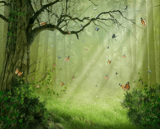 Enchanted Forest Soy Candle – Earthy & Mystical Scent | Mam Jam’s - Korvel