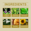Herbal Cream Gently Moisturizes Neck, Shoulders, Waist, Legs And Knees Body Massage Cream - Korvel