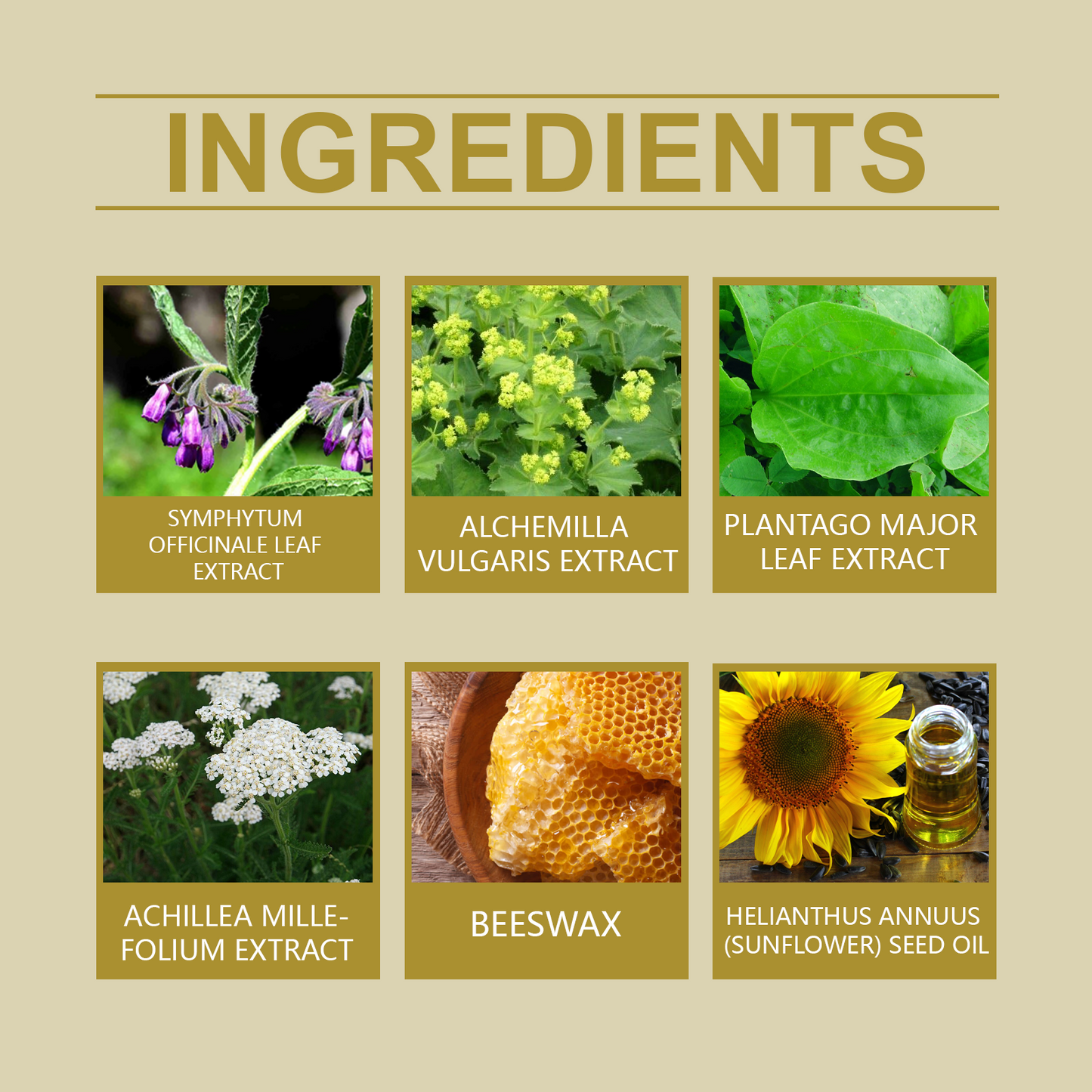 Herbal Cream Gently Moisturizes Neck, Shoulders, Waist, Legs And Knees Body Massage Cream - Korvel