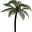 Picks para Decorar Pasteles con Palmas Grandes - 12 o 72 Unidades