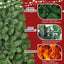 Arbre de Noël en fil mémoire vert PVC de 5 pieds