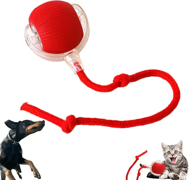 Bite resistant automatic cat teasing ball cat toy ball self fun and stress relieving tool with rope pet supplies jumping ball - Korvel
