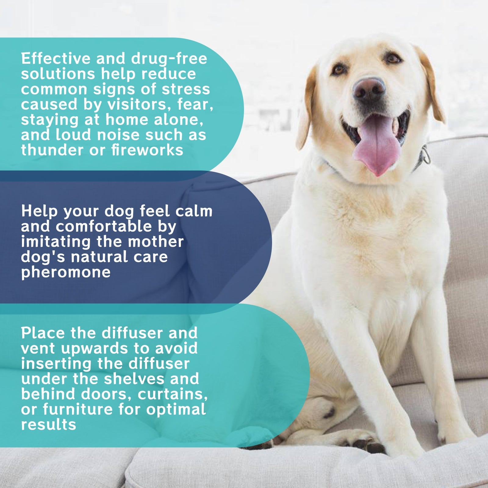 Pet Emotional Care Solution, Relieve Cats And Dogs Anxiety Fretful Comfortable And Calm Care Liquid - Korvel