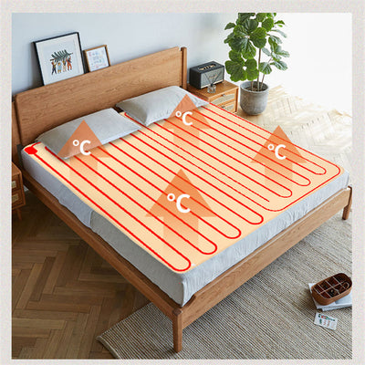 Intelligent Timing Four Gear Temperature Regulating Electric Blanket - Korvel