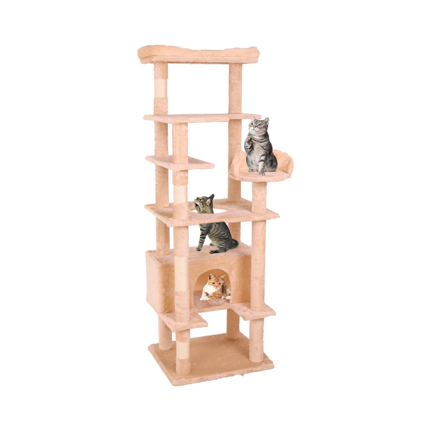 Cat Climbing Frame2 - Korvel